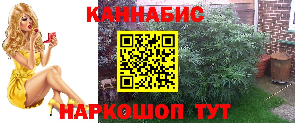 Канабис ГИДРОПОН Камышин